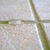 Ultimate sealed grout for easy cleaning 